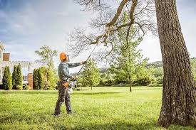 Best Tree Preservation Services  in Snoqualmie, WA